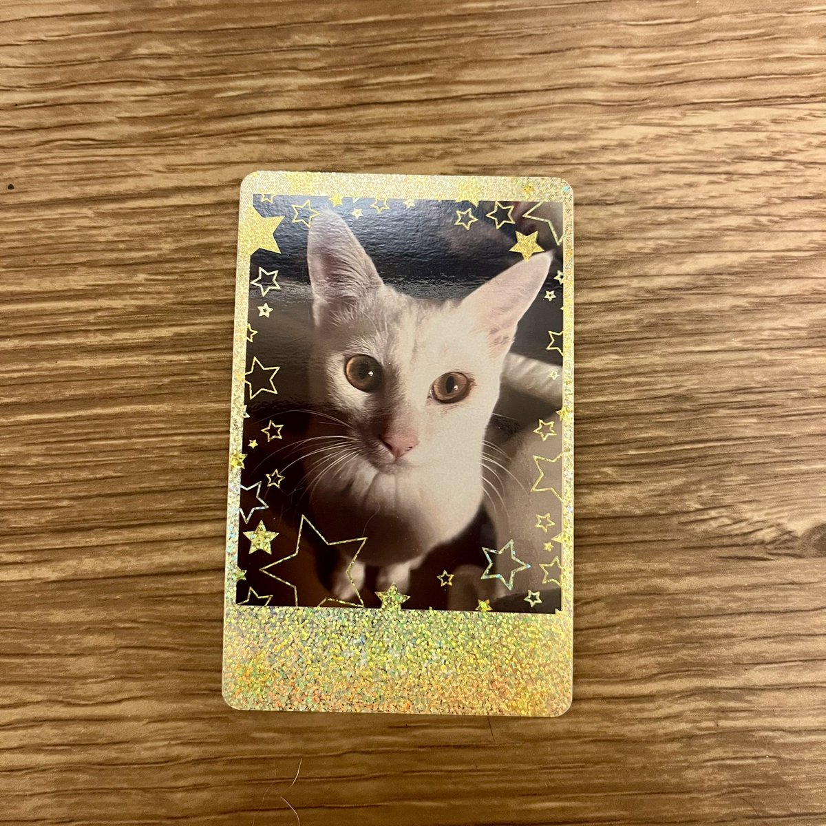 成田のえ😼 tweet media