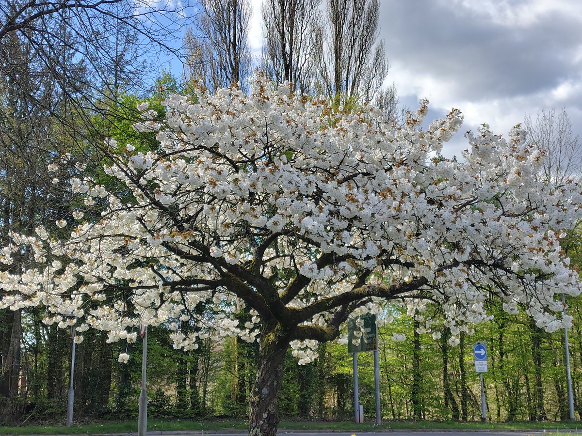 Julie 🏴Elizabeth 🏴 tweet media