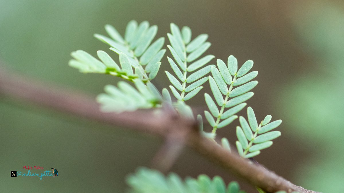 Mohit Mehta tweet media