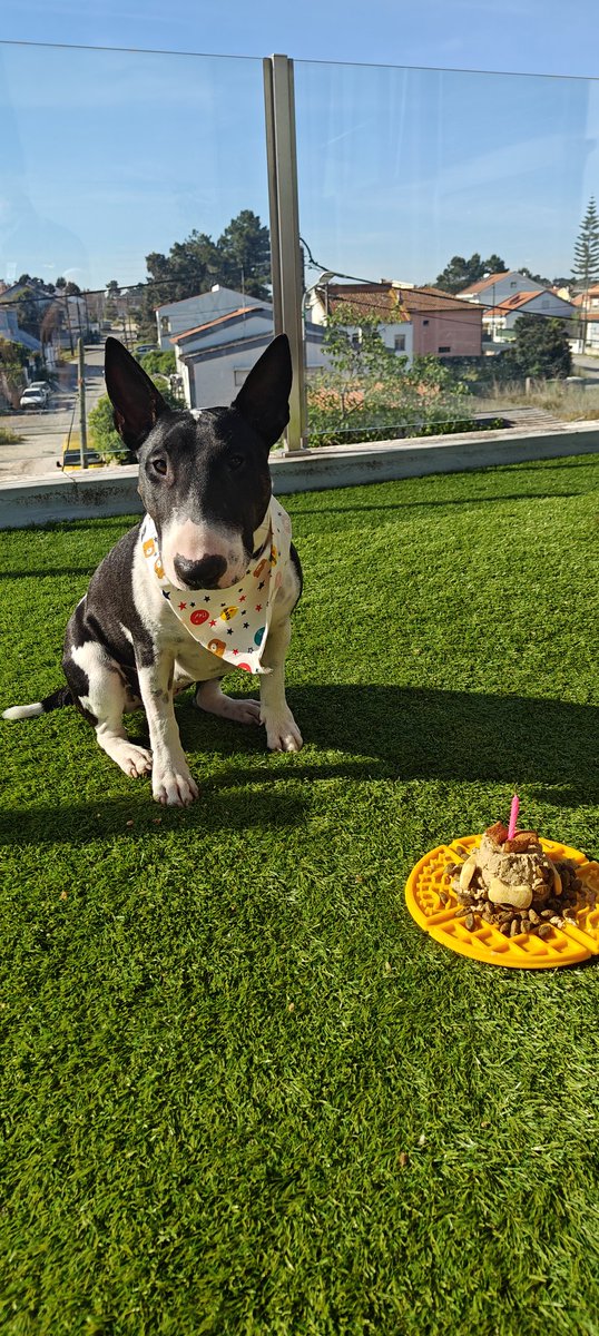 pastel de nastya tweet media