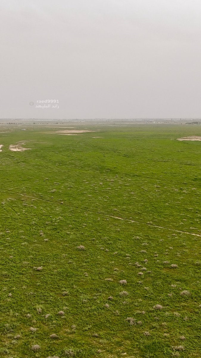 رائد البليهد tweet media