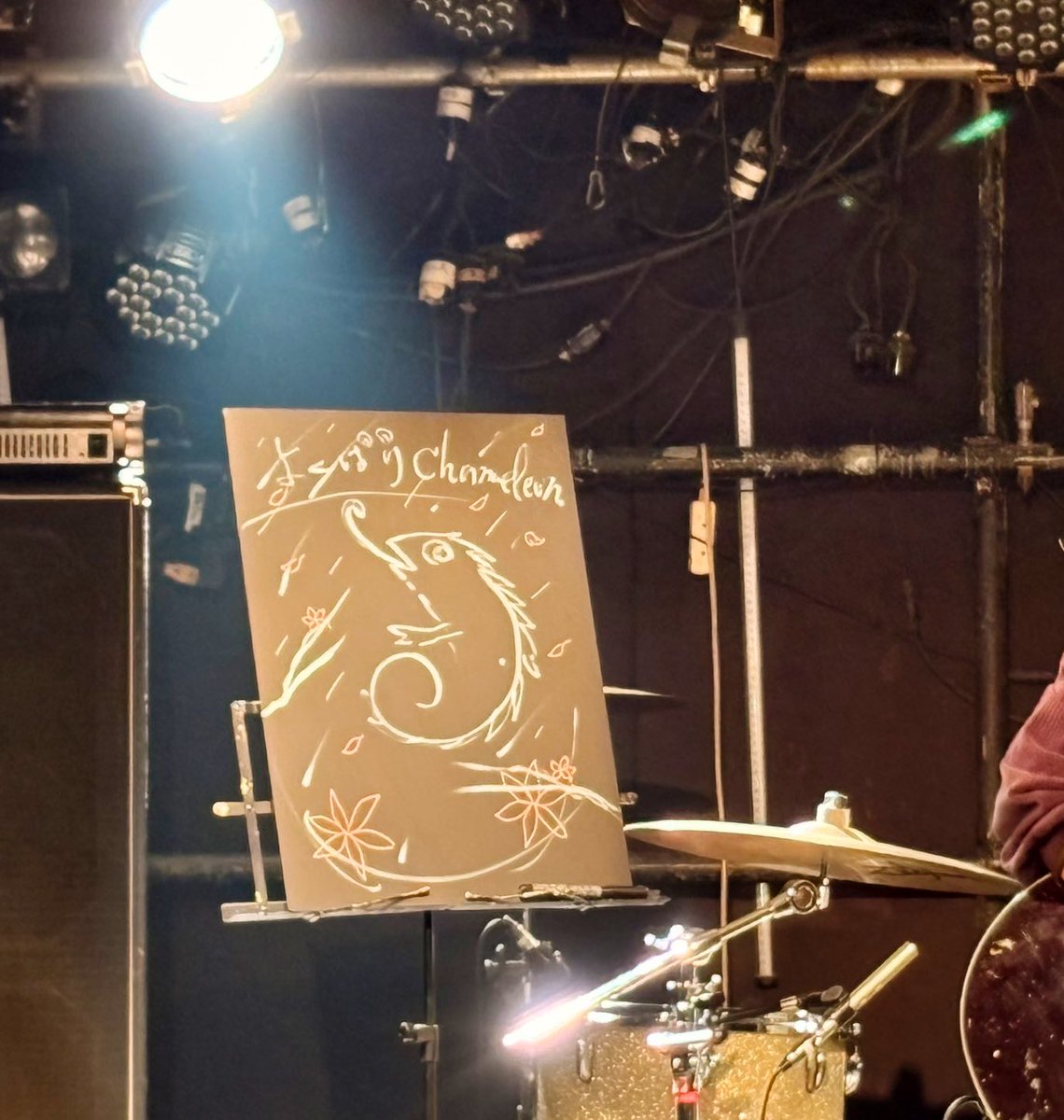 よくばりChameleon. tweet media