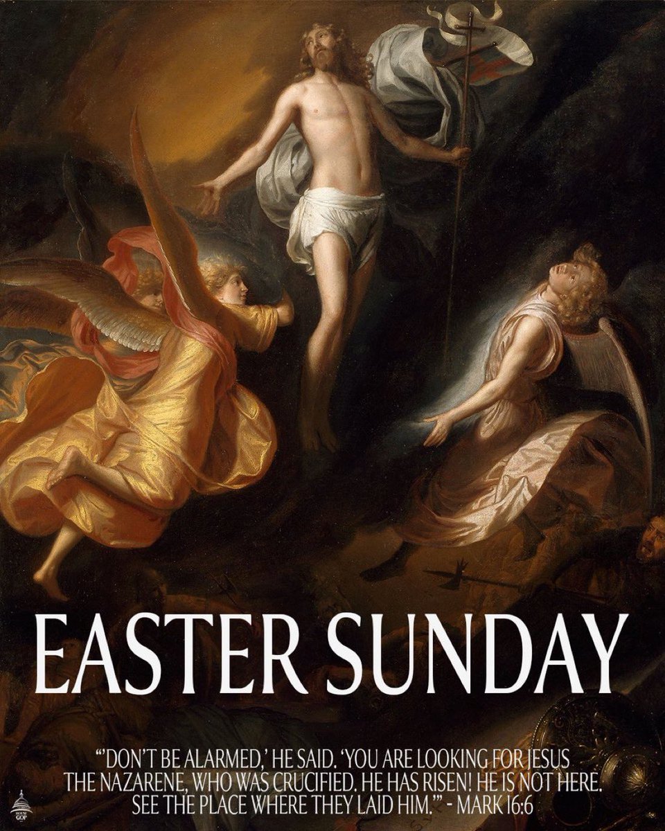 Congressman Pat Harrigan tweet media