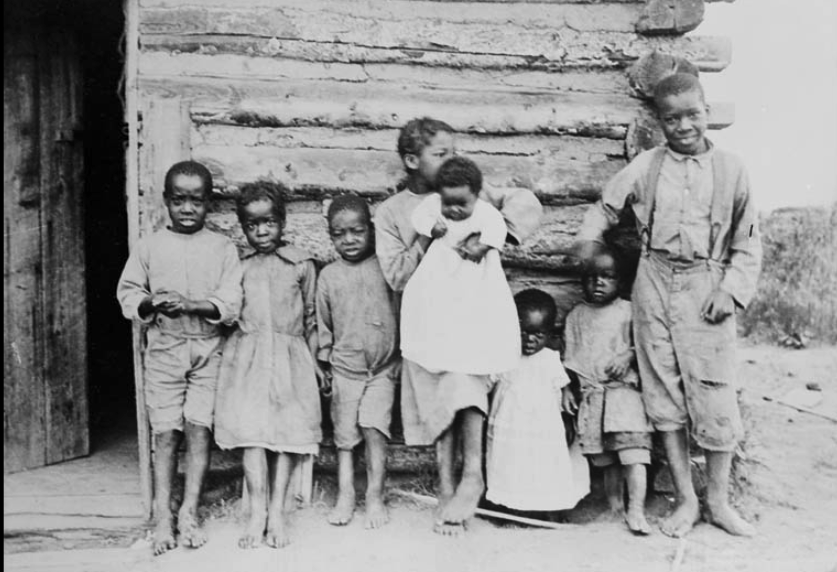 The Reclamare tweet media