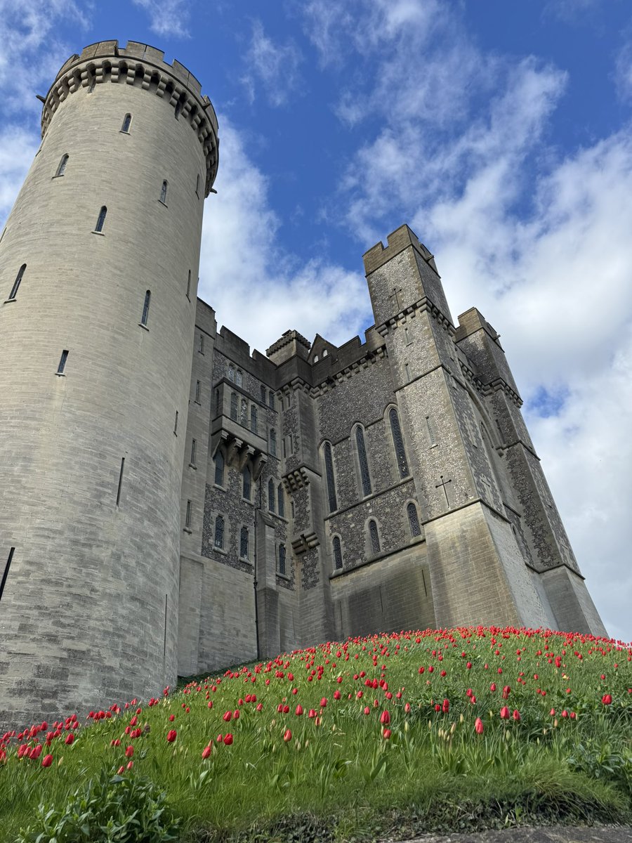 Marc Zammit tweet media