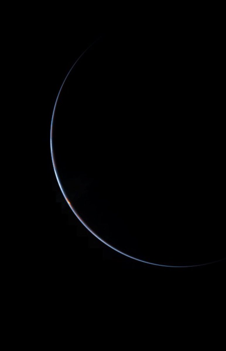 MOON LOVER tweet media