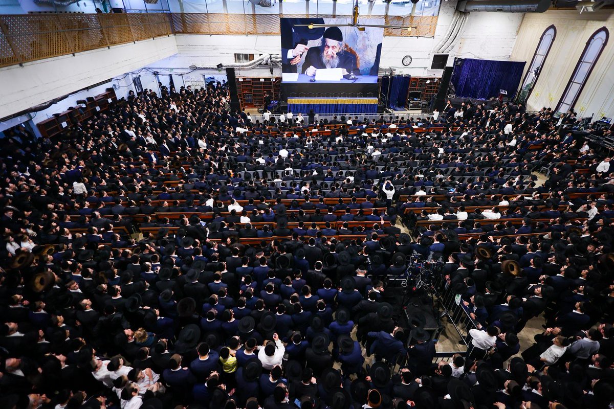 יואלי ברים yoeli brim tweet media