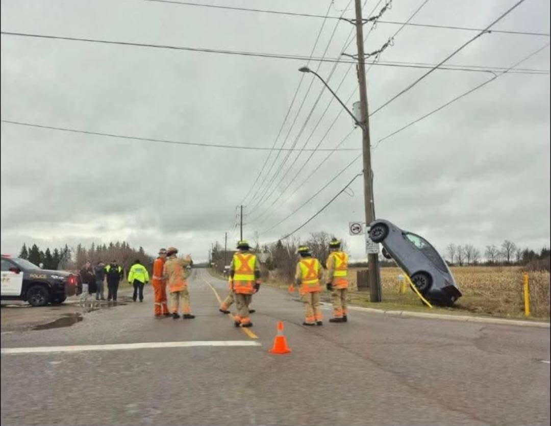 Drive Tesla 🇨🇦 tweet media