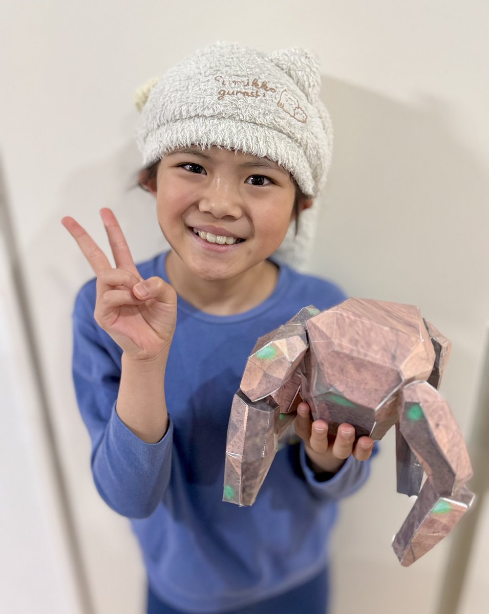 プロヘメ、ロッキーと騒いでいる私たちに旦那がペーパークラフトでロッキーを作ってくれました🥹🪐
海外の方が有料で配布しているものらしいですが、クオリティー高いです…！😳🪨 3Dプリンタで出力&amp;造形が出来ない私たちにとっては有り難い😭🙏🏻✨ ミニフュリ長も大喜びです👧🏻🎶

#ロッキー