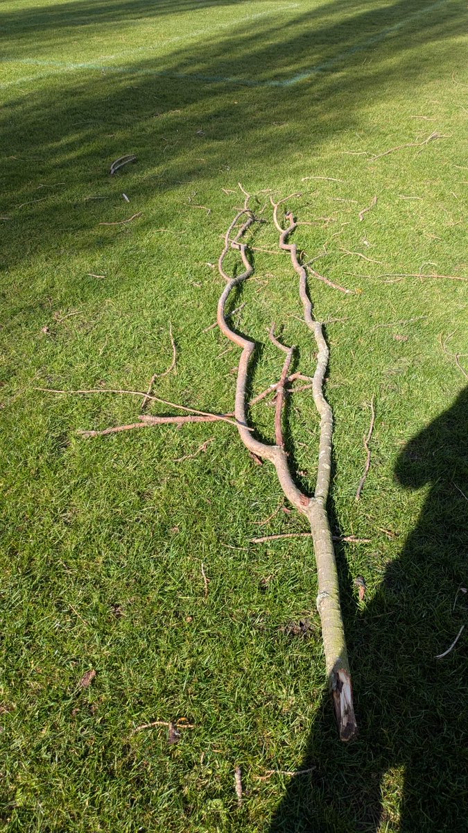 Dunkirk F.C tweet media