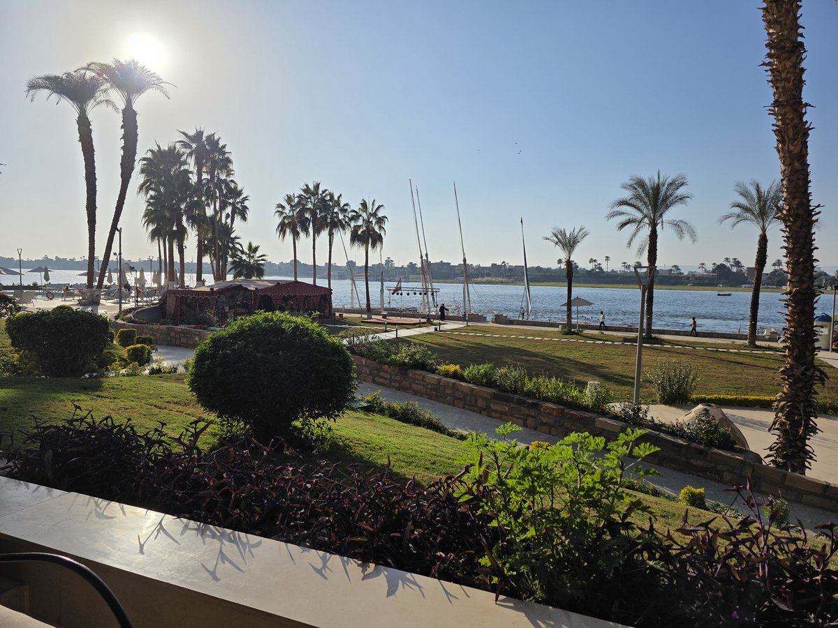 Virginie tweet media