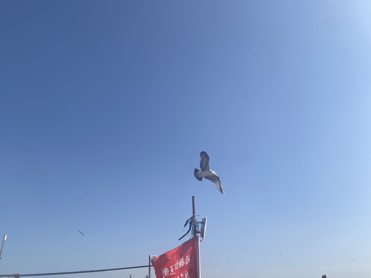 Blueberry🔮互关版 tweet media