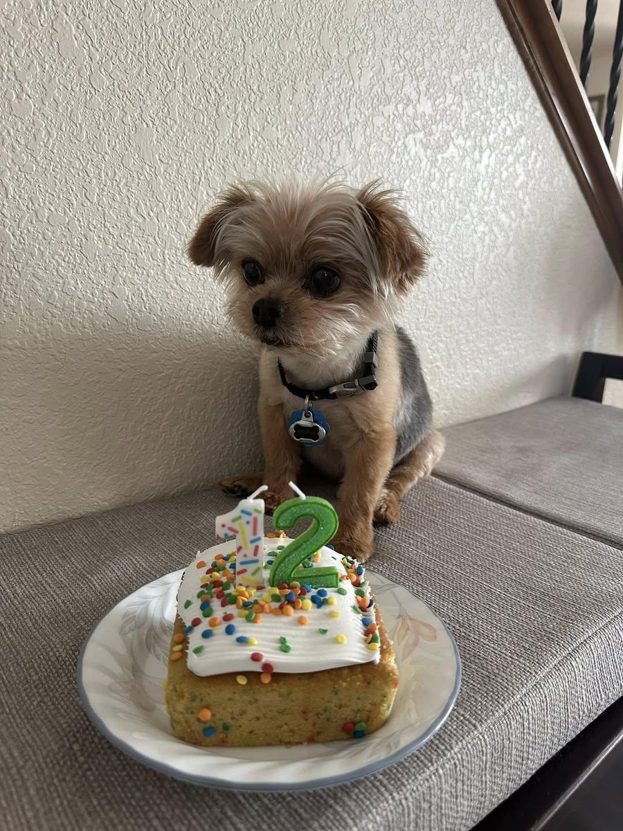 Sara Mary ⭐❤️ tweet media