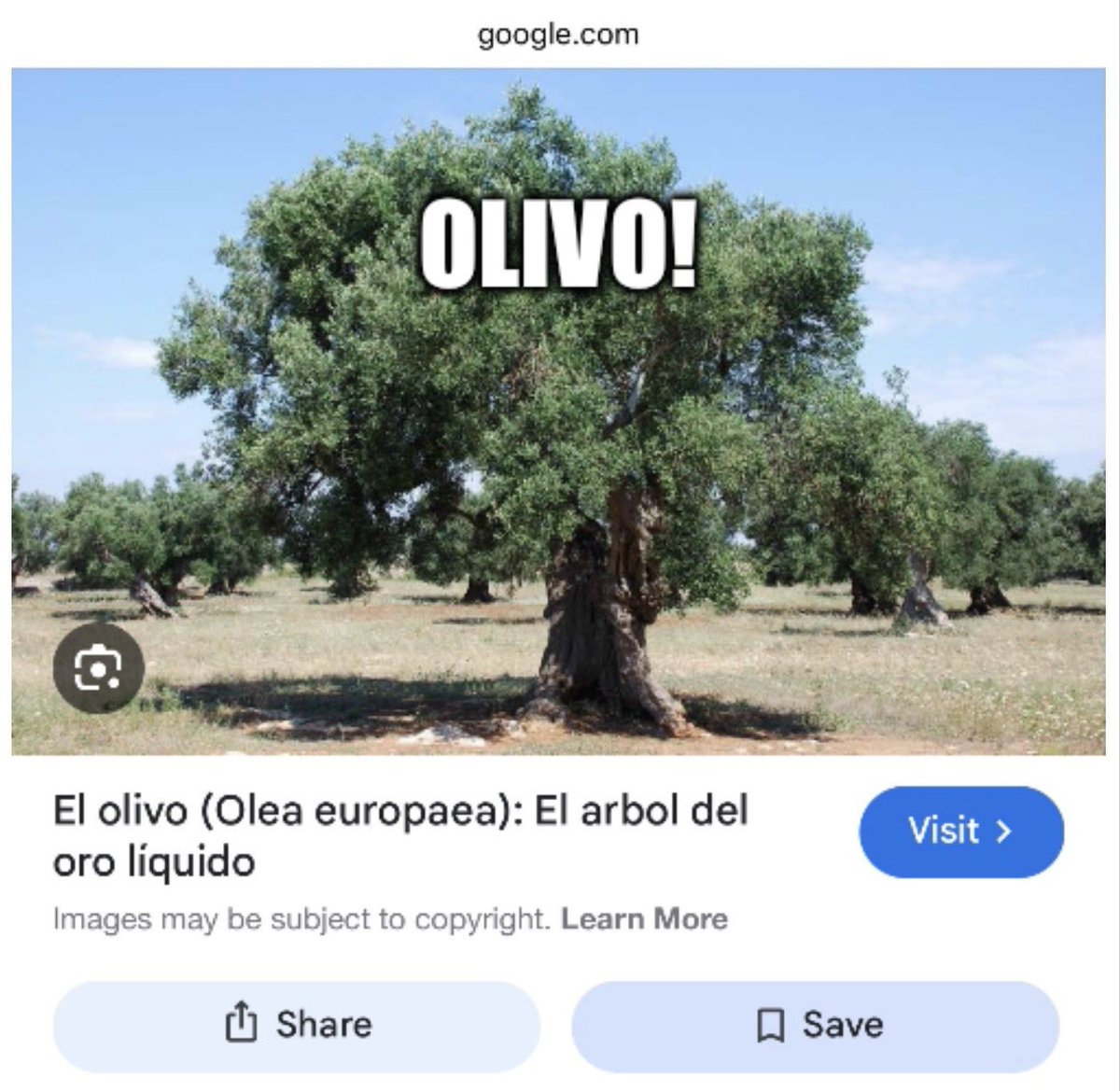 Curt James tweet media