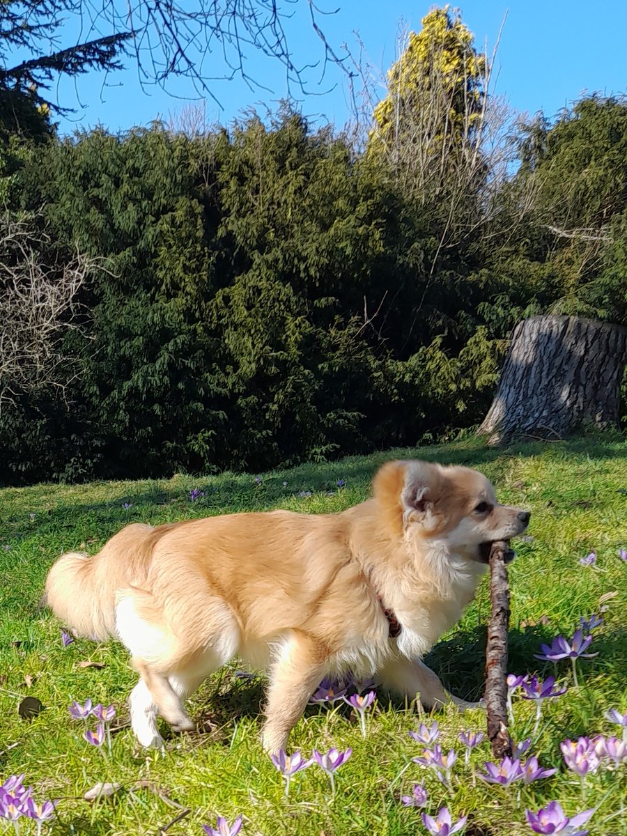 Stephanie Happening tweet media