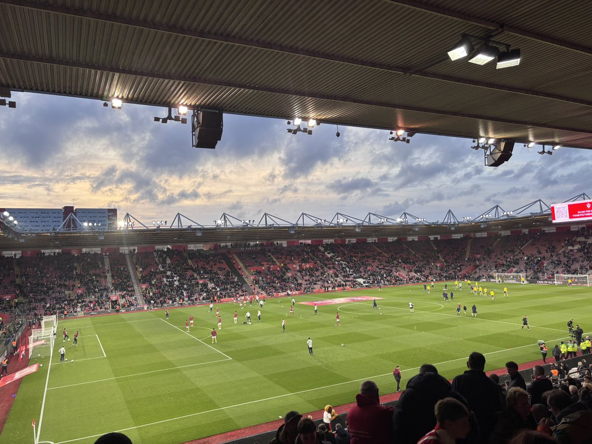 New Forest Groundhopper tweet media