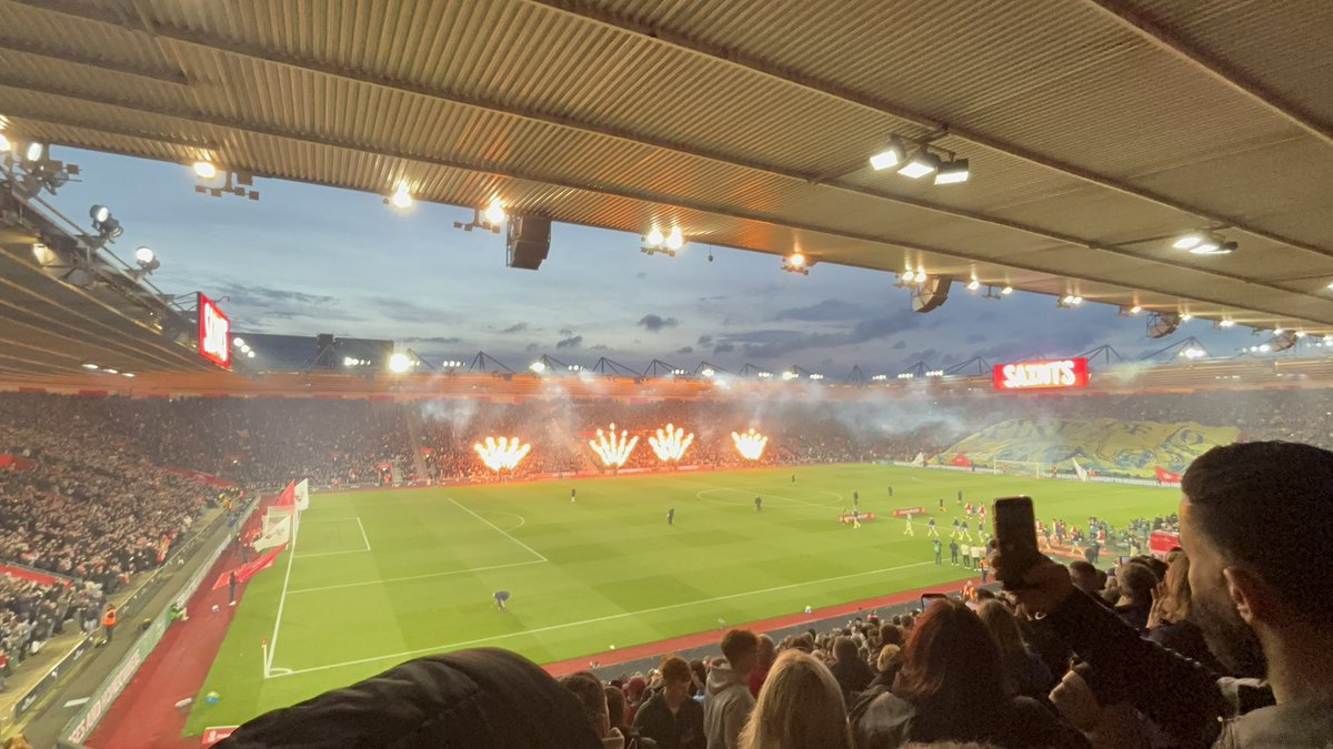 New Forest Groundhopper tweet media