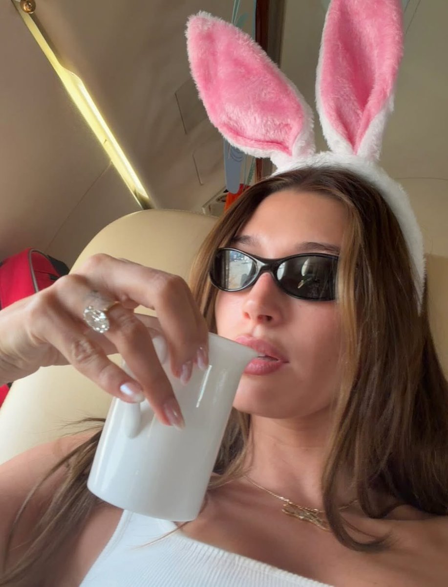 Portal Hailey Bieber tweet media