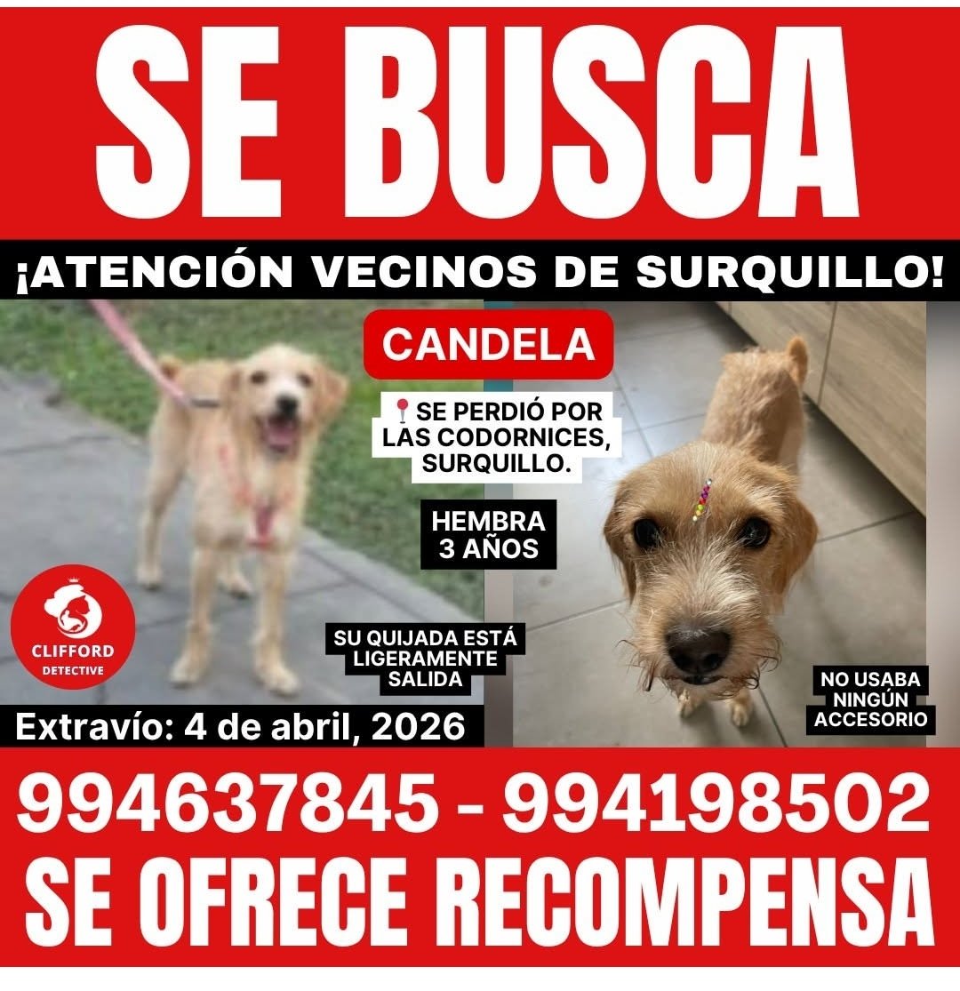 Dane Gámez tweet media