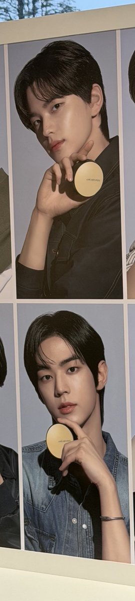 𝕺𝖈𝖊𝖆𝖓𝖆 🐾 tweet media