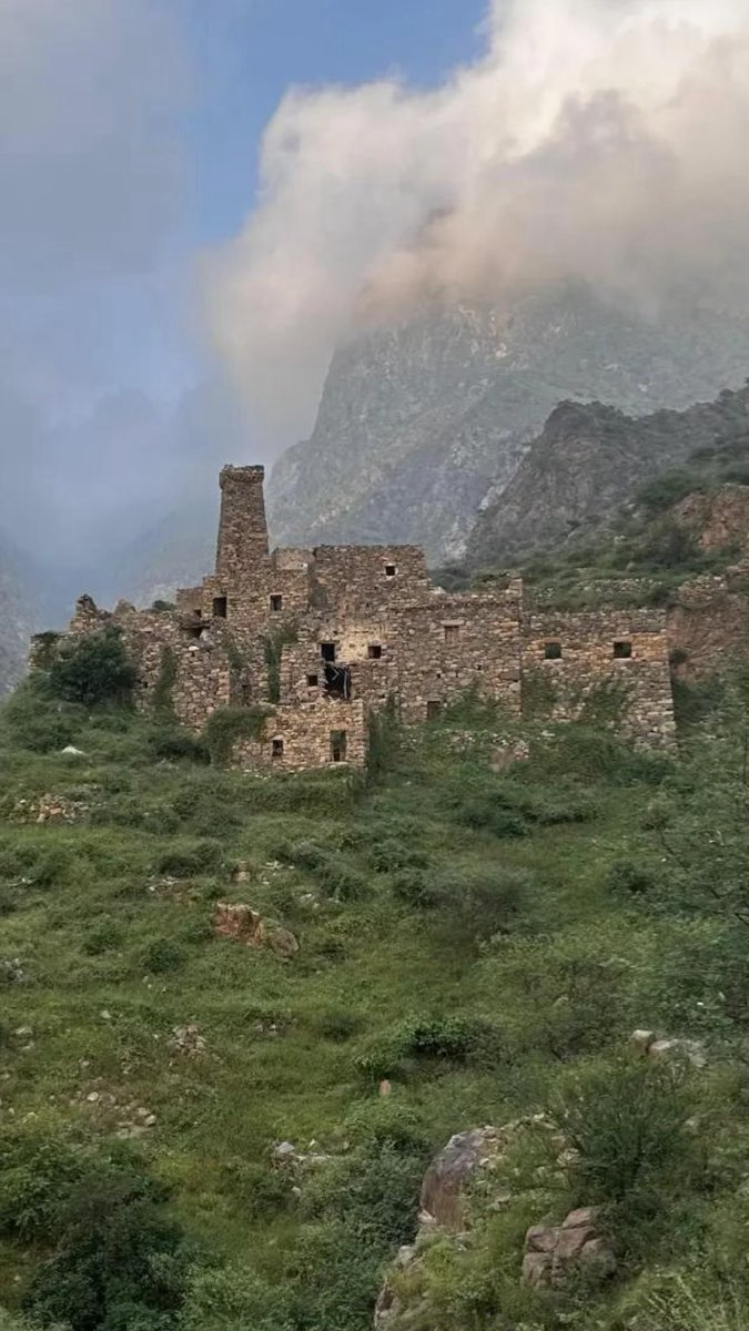 زيـاد العُمري tweet media