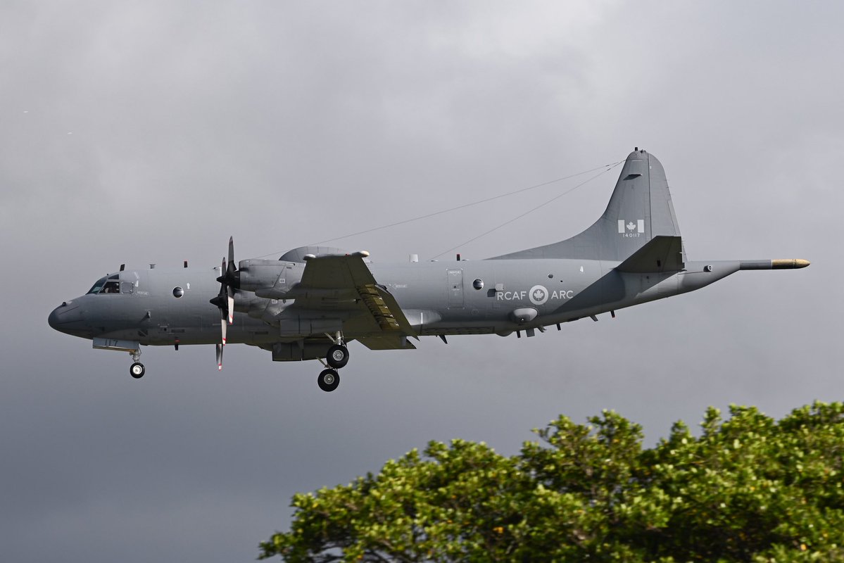 偽写真部部長 tweet media