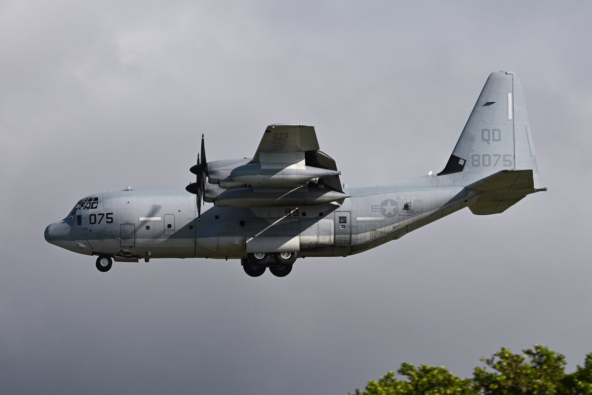 偽写真部部長 tweet media