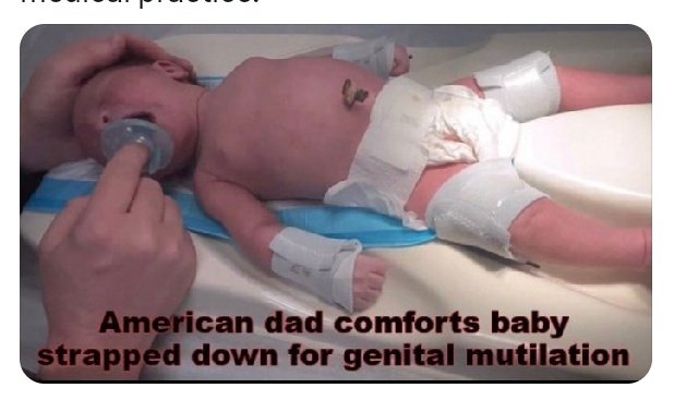 blue sun flower tweet media