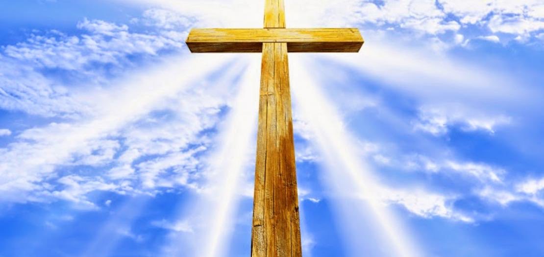 Matt Tate tweet media