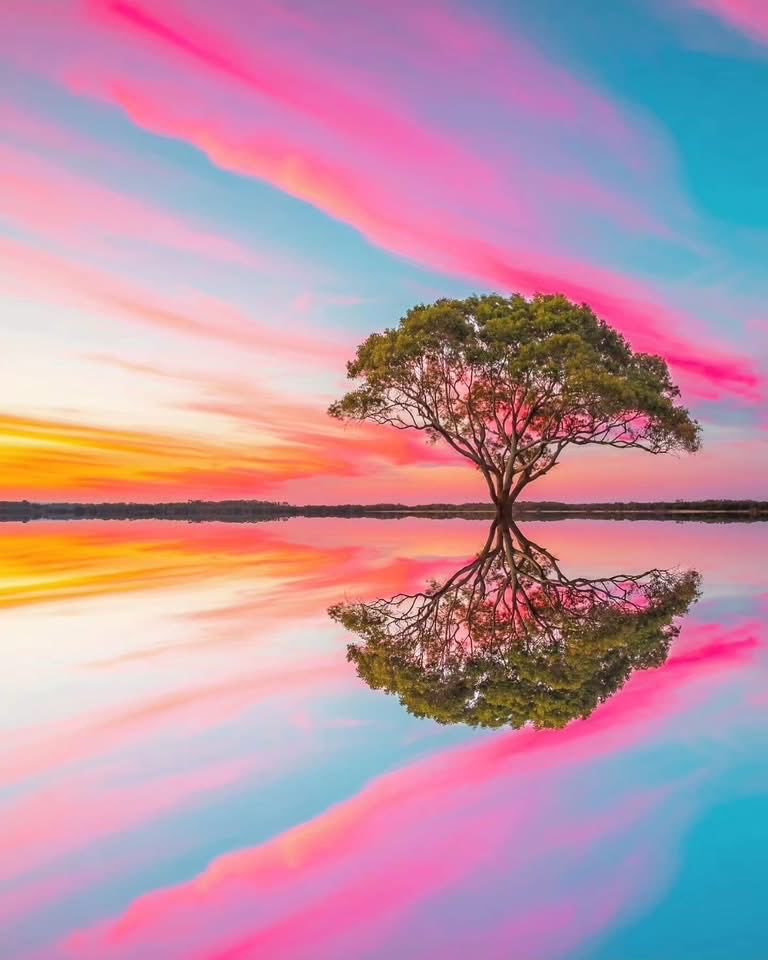 Good evening!