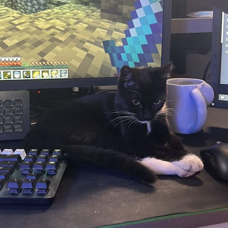 fifi 🔸 tweet media