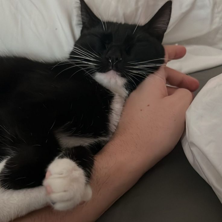 fifi 🔸 tweet media