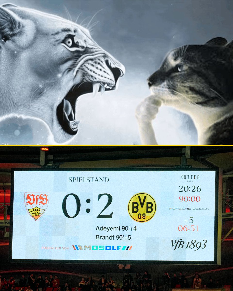 Borussia Dortmund tweet media