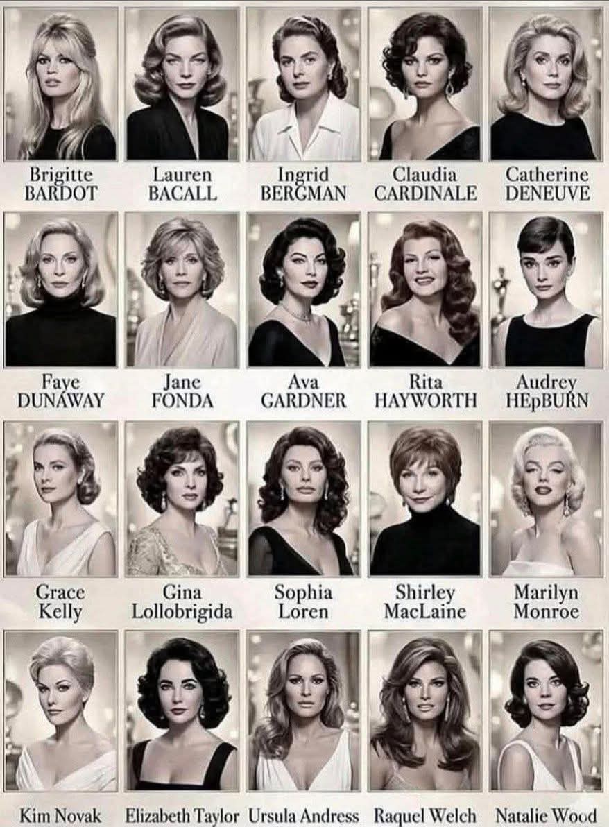 Elizabeth❣️ tweet media