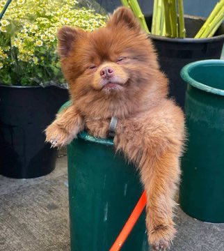 Crypto OG tweet media