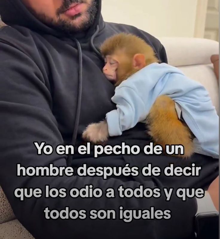 Pkittass tweet media