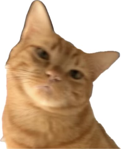 karen 🇲🇽 tweet media