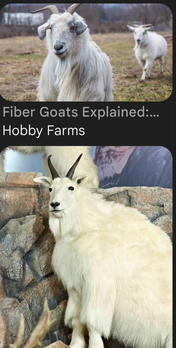 C Ducket tweet media