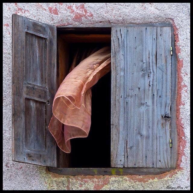 Philosophy x tweet media