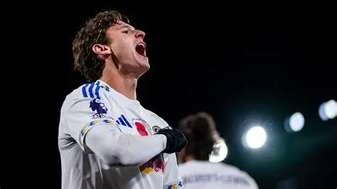 MatLeedsYT tweet media