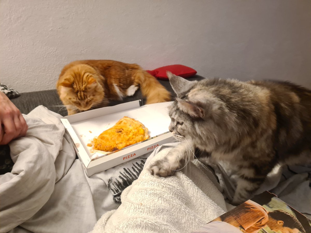 Marcus_mit_Zeh's tweet image. Ich will nicht teilen.. 🥲

#Asuna 
#Lenny
