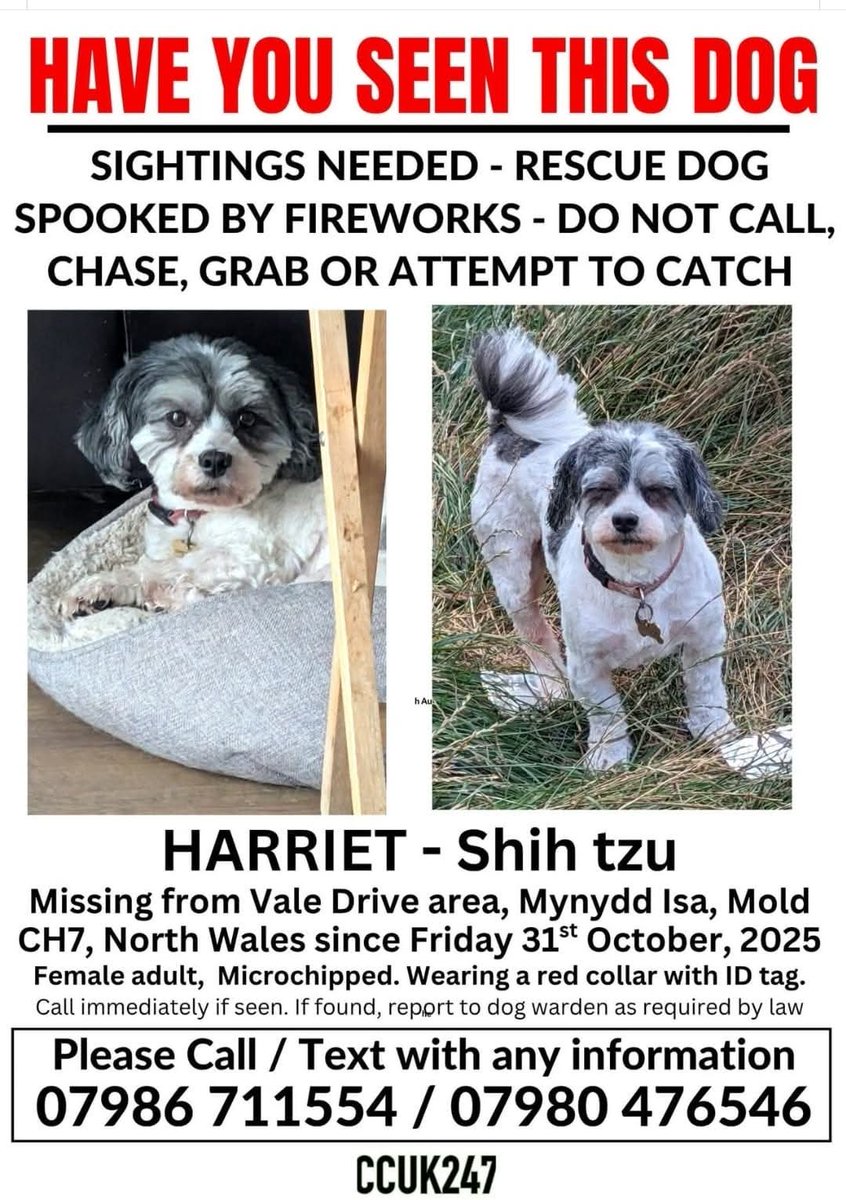 MissingPetsGB's tweet image. 🐕MISSING HARRIET

Harriet is a nervous rescue who went #missing after being spooked by fireworks on 31 October 2025. She was seen 5 November, but there have been no sightings since.

Mynydd Isa #Wales area. Please check ring /CCTV footage for any sign of Harriet🙏 #stolendoghour