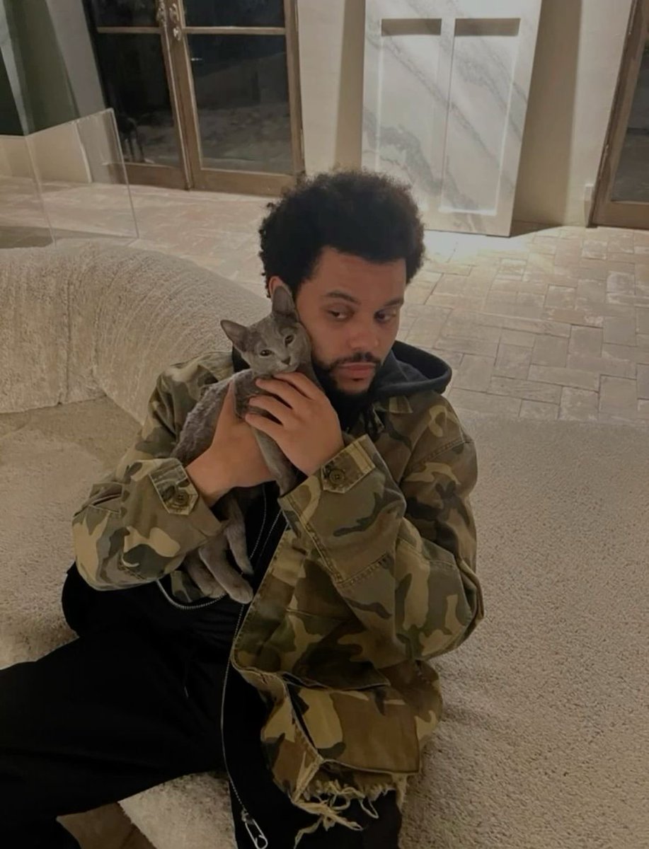 amy ⁹³ tweet media