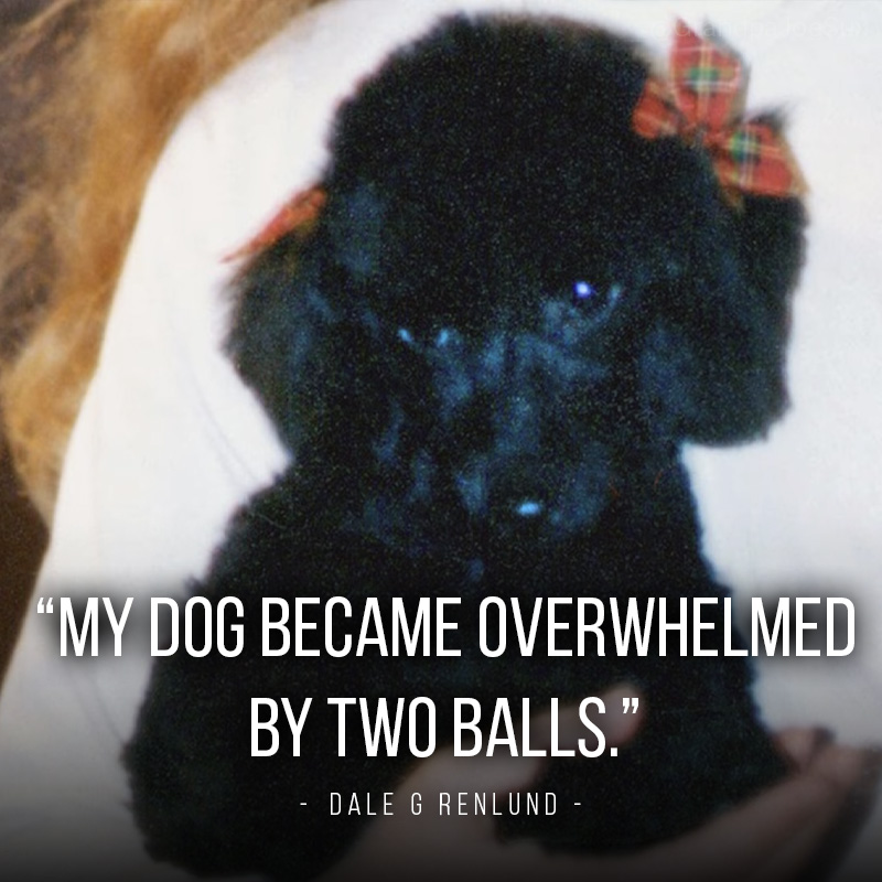 Grandpa Joe tweet media