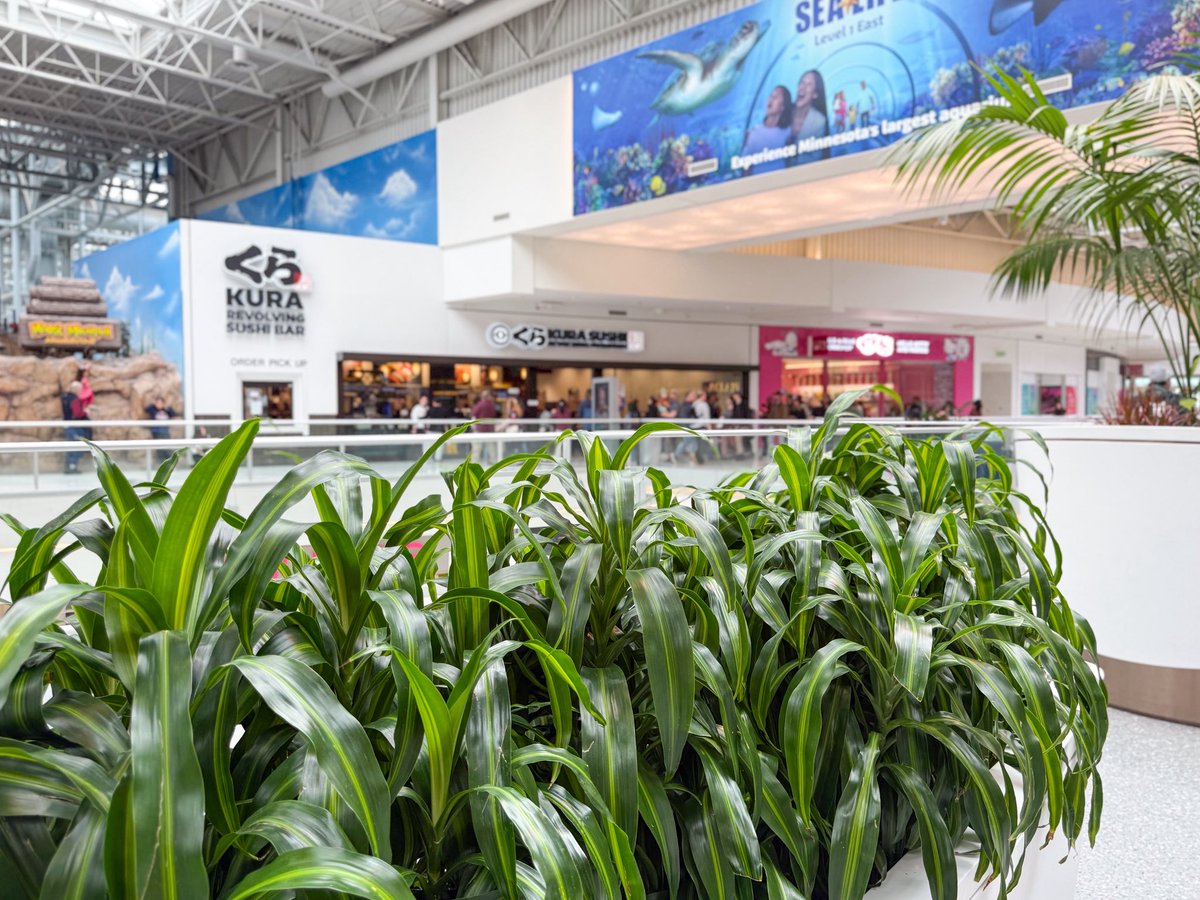 Mall of America tweet media