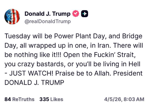 Mystery Parrot (ミスパロ)🦜 tweet media