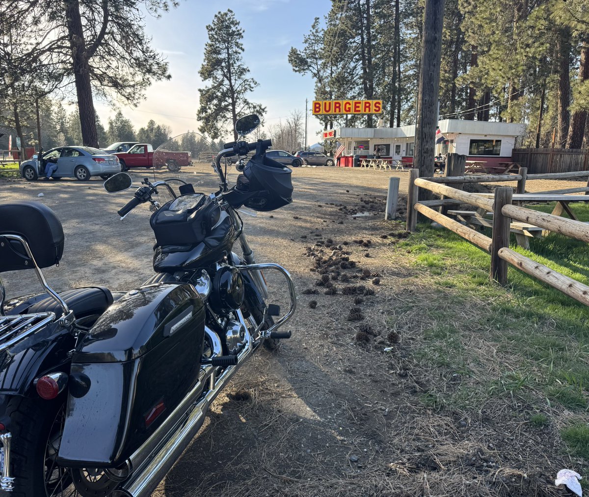 Robert Raskolnikov tweet media