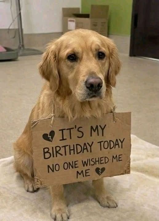 Nimra Shahzadi ❣️ tweet media