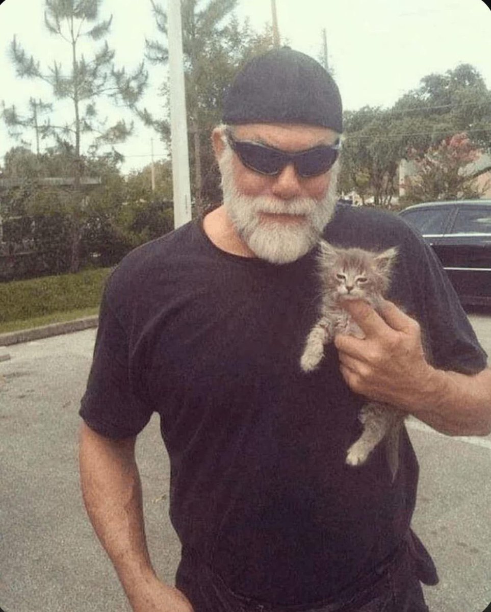 Book Pro Wrestlers tweet media