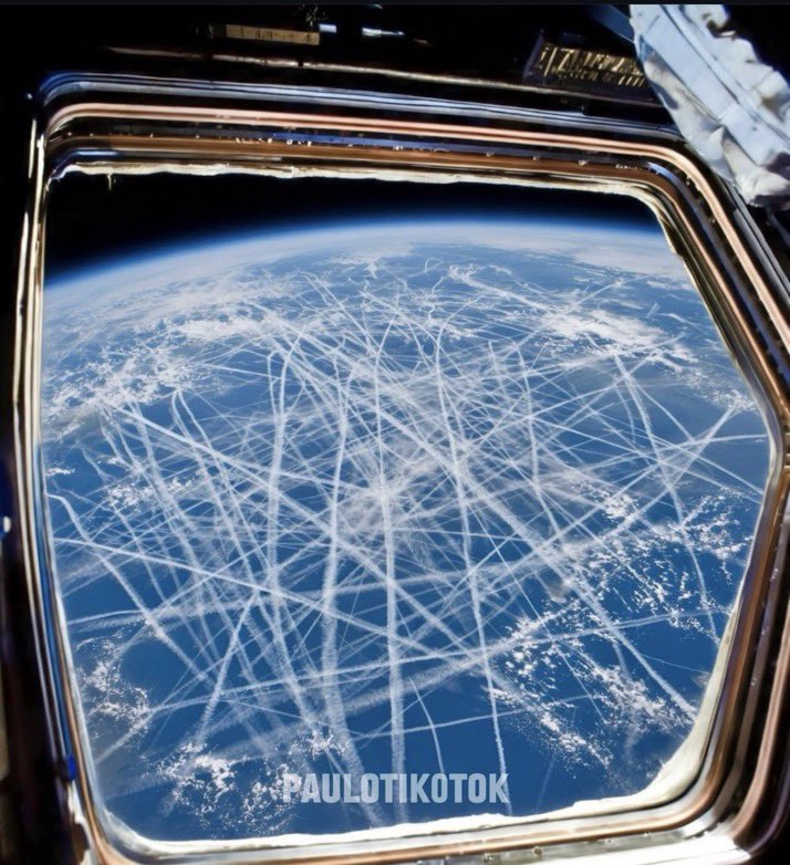 Black Bond PTV tweet media